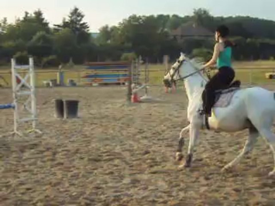 Parcours de 8 obstacles (26/07/2013)