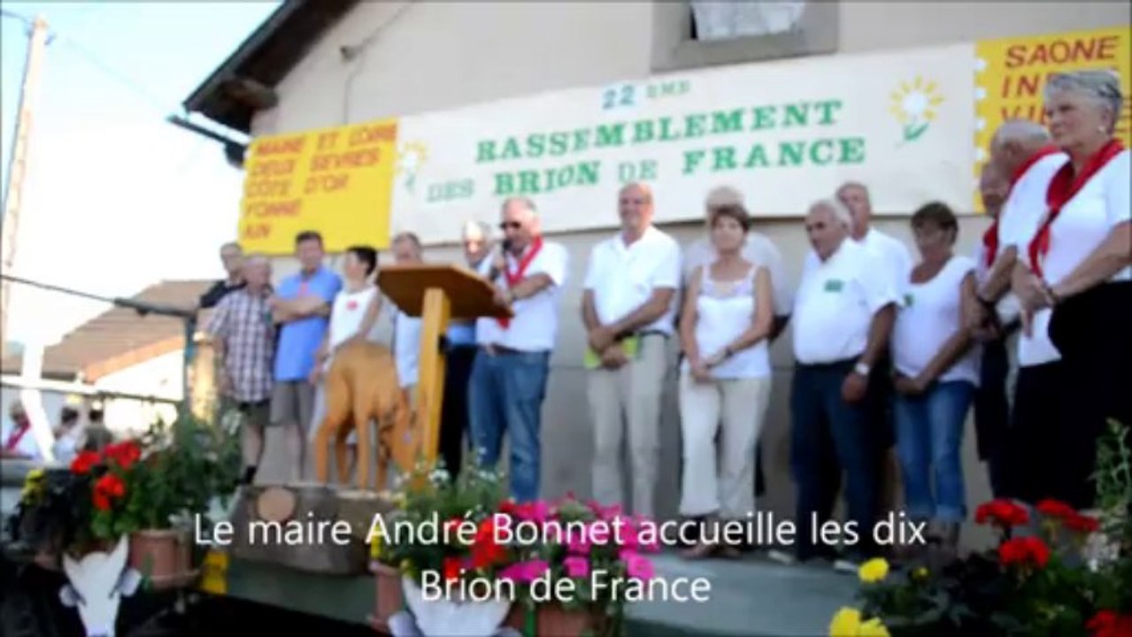 Brion BdeF 260713