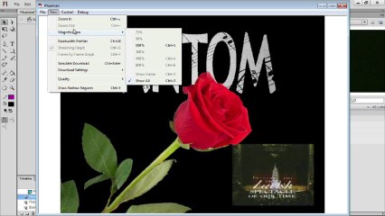 7.2. Importing and Transcoding Video