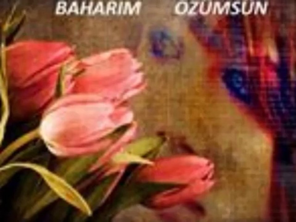 SEYDUNA ÖMÜR GÖÇEĞİMSİN BENİM SÜRGÜN ÇİÇEĞİMSİN BENİM