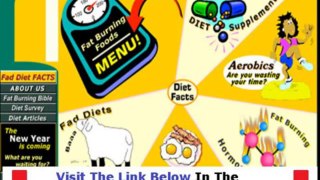 Fat Loss 4 Idiots Diet Free Download + Fat Loss 4 Idiots Reviewed