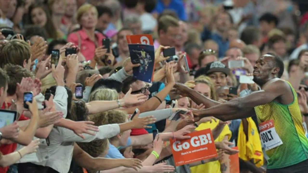 Supremacia Bolt