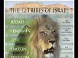 PART 9. ALEX JONES THOUGHTS ON HEBREW ISRAELITES