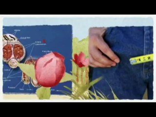 The Make Mine Grow Book PDF