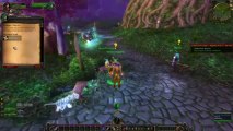 X-Elerated Warcraft Guides | 1-85 WoW Leveling Guide