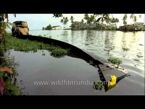 Chundan Vallam : one of the icons of Kerala culture