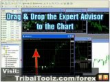 Forex Trendy-Automated Forex Autotrader Best Forex Charting Software-The Best Forex Software