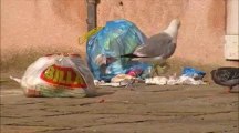 27 ans & 7 jours à Venise - Des poubelles et des pieds