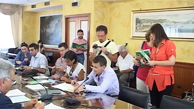 Campania - Rifiuti elettronici, i dati della raccolta differenziata -2- (26.07.13)