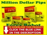 Million Dollar Pips Forex   Million Dollar Pips Robot Free Download