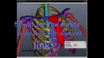 3d Human Body -  DOWNLOAD 3D Human Anatomy Software FREE!