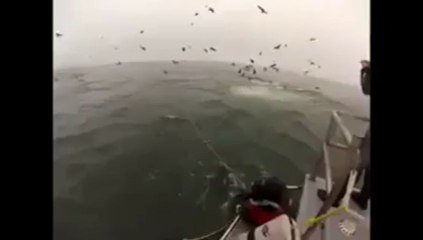 OMG - This Man was almost dead!