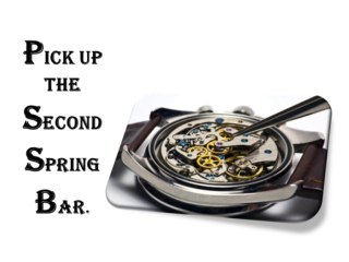 Change your watch bands yourself…..!