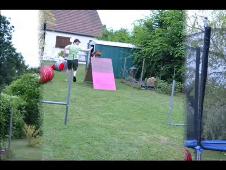 Mon mini parcours d'agility .