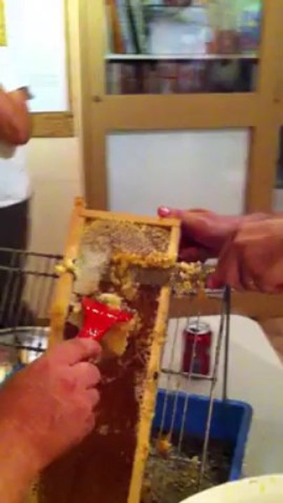 Extraction du miel