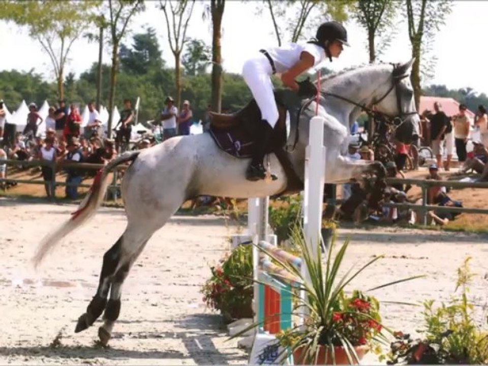 Stand Up For The Champion !!!!!