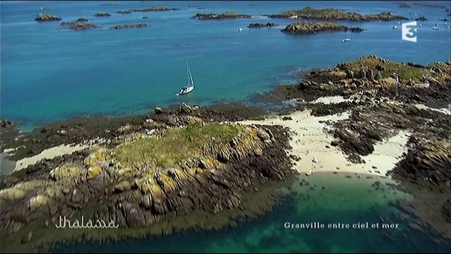 Archipel Îles Chausey France - 3 - Thalassa