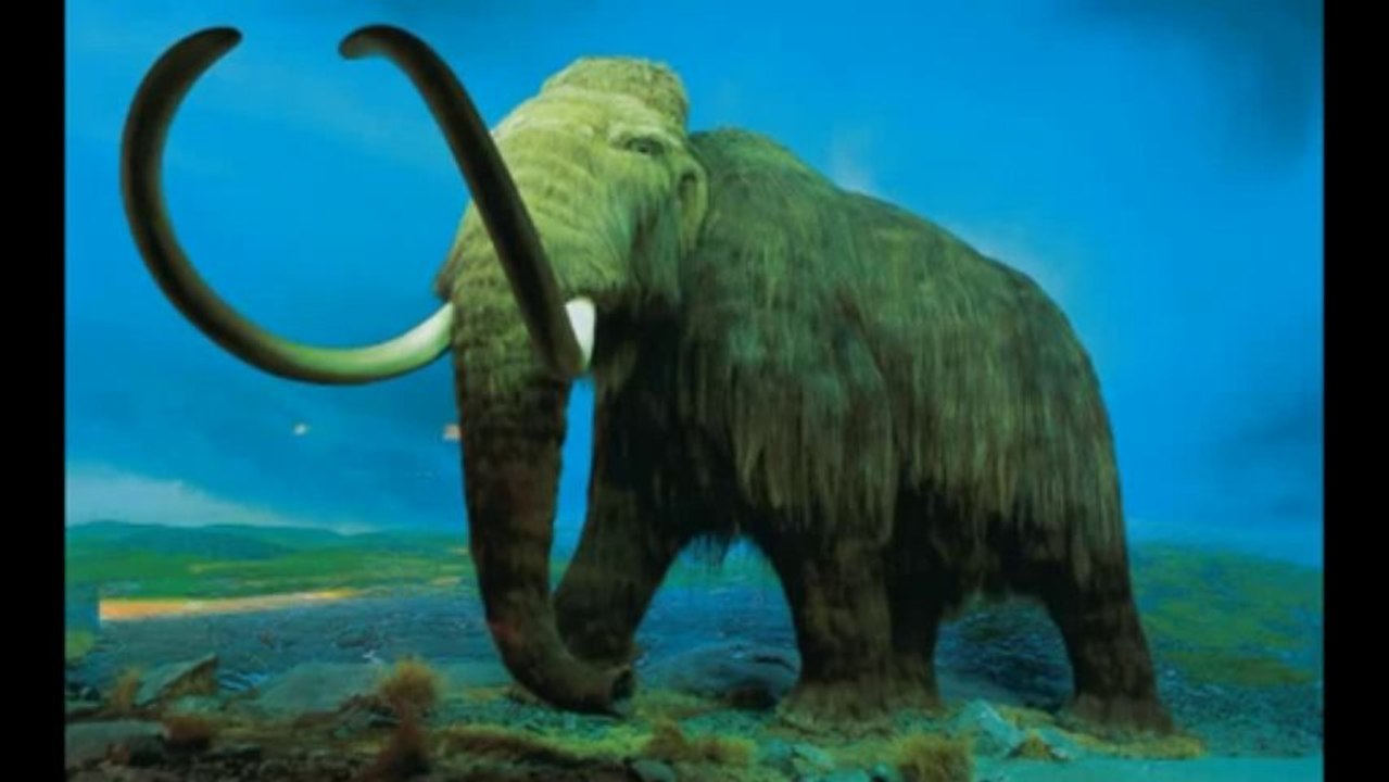 Hohle Erde - Fiktion oder Realität Teil 5 - Richard Evelyn Byrd