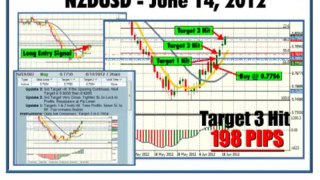 Traders Elite Forex Signals Review