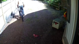 Thief caught on film 7-10-2013 in Lake Geneva - Stealing Bicycle - Home Security Camera