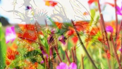 Rudolf Steiner - Mystery Centres of Ancient Ireland 2/3 Winter Wanderings And Summer Dreams