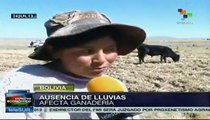 Heladas y sequía se han prolongado más de lo habitual en Bolivia