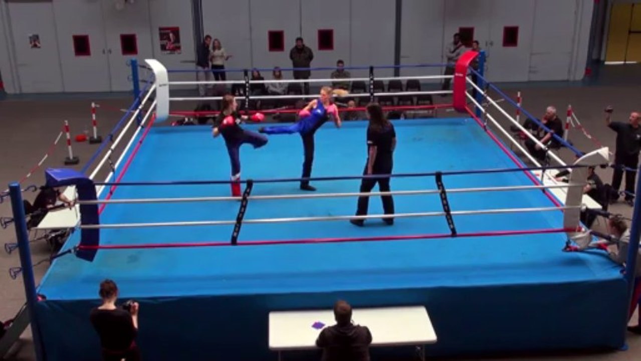 Savate Boxe Française, Gala de Paris 2013, assaut 008