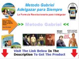 Metodo Gabriel Adelgazar Para Siempre Pdf   Metodo Gabriel Gratis En Español