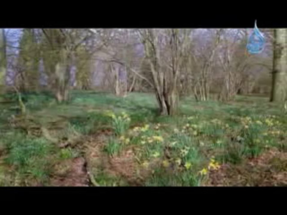 إبتهالات 6 - سيد النقشبندي