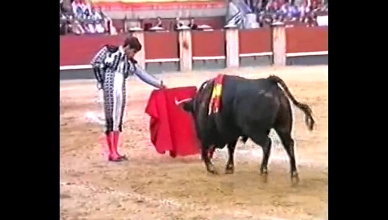 San Isidro 2003 Morante de la Puebla