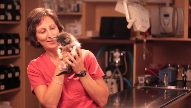 Veterinarian Canton Georgia- Cherokee Animal Hospital