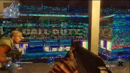 Black Ops The Matrix Glitch WTF is this