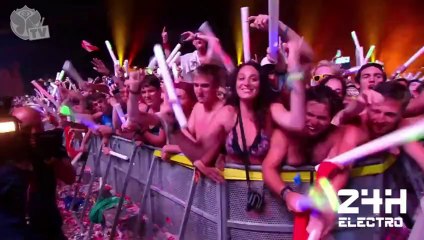 Tomorrowland 2013 - Dimitri Vegas & Like Mike part 2