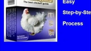 Building a Chicken Coop - The Easy Way