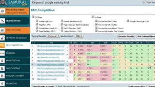 Easy Google Keyword search ranking tool