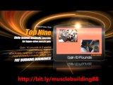 No Nonsense Muscle Building Review - Unlock Your True Muscle Building Potential