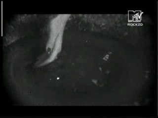 Epica .- Feint (Gothic) Tvrip