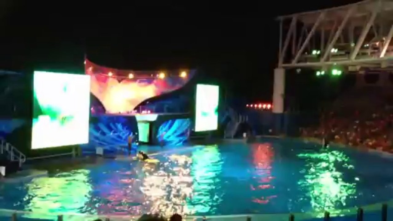 Shamu Rocks 1 Seaworld