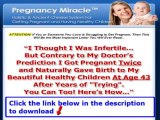 Pregnancy Miracle System Review   Pregnancy Miracle Com