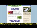 The Penny Stock Egghead Review - How To Make Money With Penny Stocks - Does It Really Work?