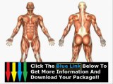 Gross Human Anatomy Course   Human Anatomy Physiology Online Course Lab