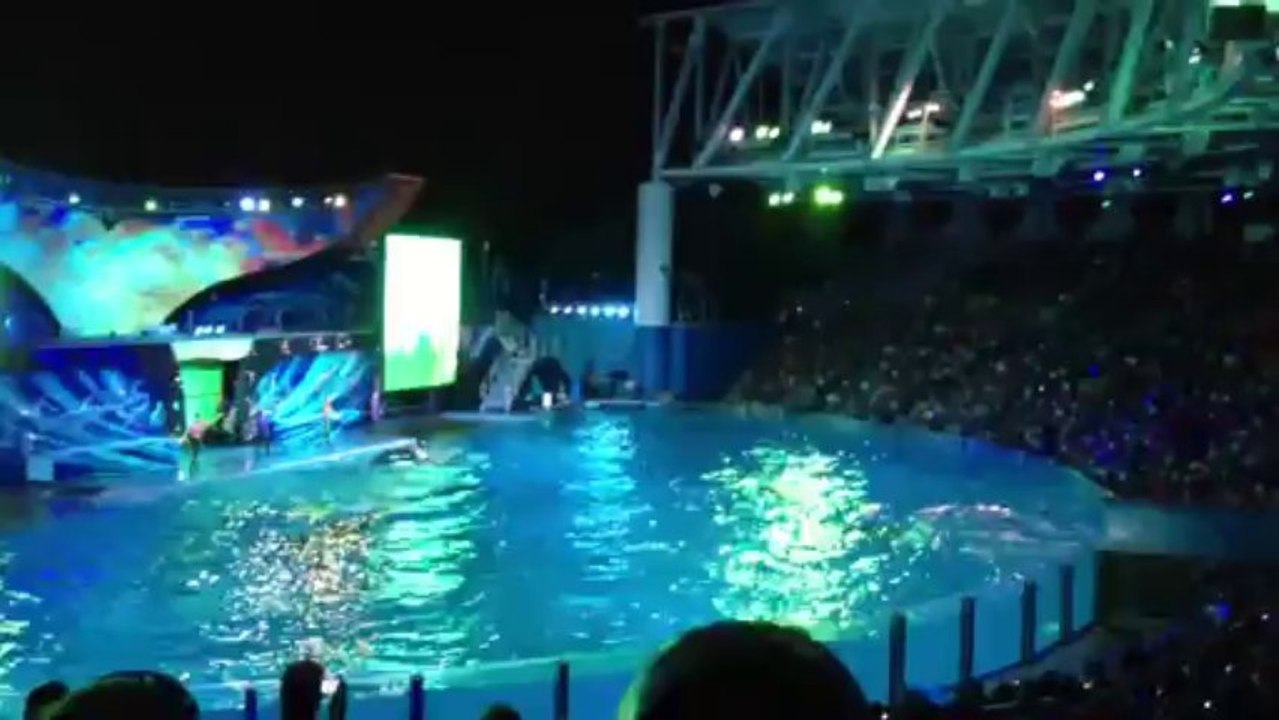 Shamu Rocks 2 Seaworld
