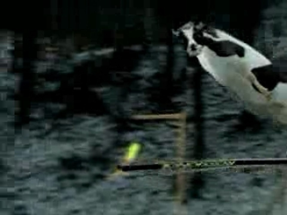 saut a ski vache