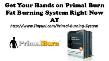 Primal Burn Fat Burner System Reviews   Primal Burn Fat Burner System Download