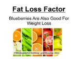 Fat Loss Factor Review Secrets Before You Buy Fat Loss Factor