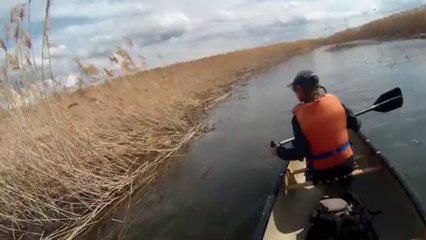 Canoe îles de Boucherville