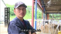 20130725 TPPの影響に苦悩する福島・飯舘村の若き酪農家を取材しました。(福島)