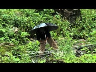 Man repairs water pipes in the rain, Uttarakhand