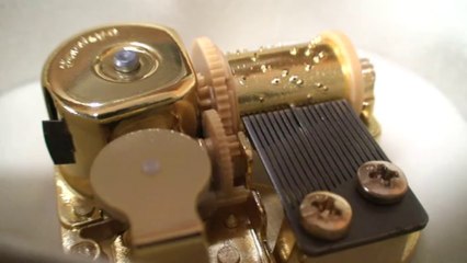 Sekai ni hitotsu dake no hana music box