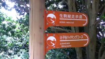 生駒ハイキング・辻子谷コース（帰り）　生駒山遊園地より近鉄石切駅へ